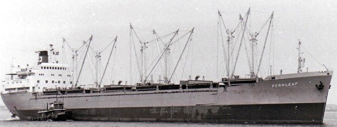 OSL31719650120001 FERNLEAF