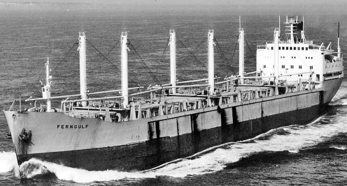 OSL31719680120001 FERNGULF