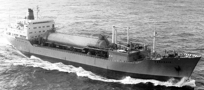 OSL31719720420001 FERNWAVE