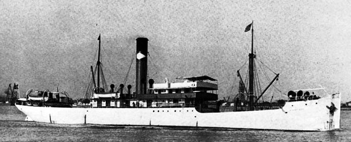 OSL32219150220001 VILDFUGL