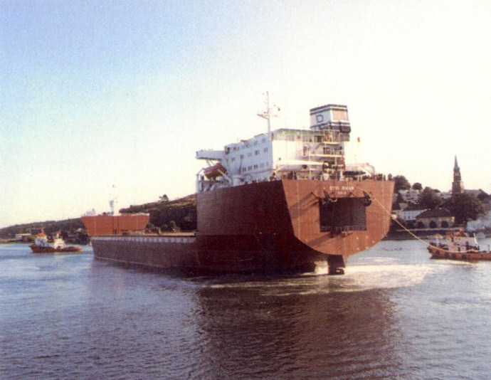 OSL32519810120002 DYVI SWAN
