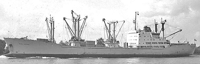OSL33019710520001 SAINT MICHEL