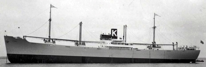 OSL33319370120001 VINNI