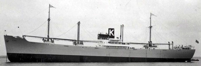 OSL33319370120001 VINNI