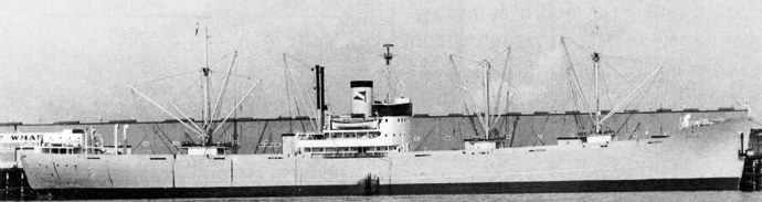 OSL33419370120001 VITO