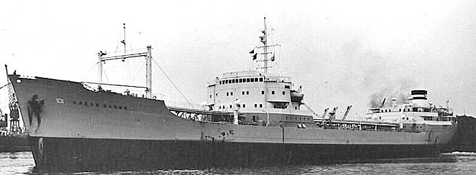 OSL33519540120001 NB 454