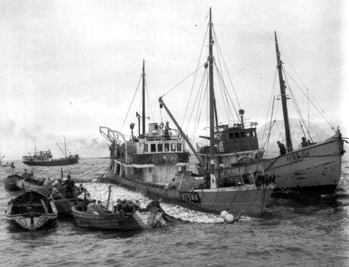 OSL33619430320001 SNURP VIII