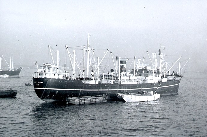 OSL33619600220001 SUNNY DUKE
