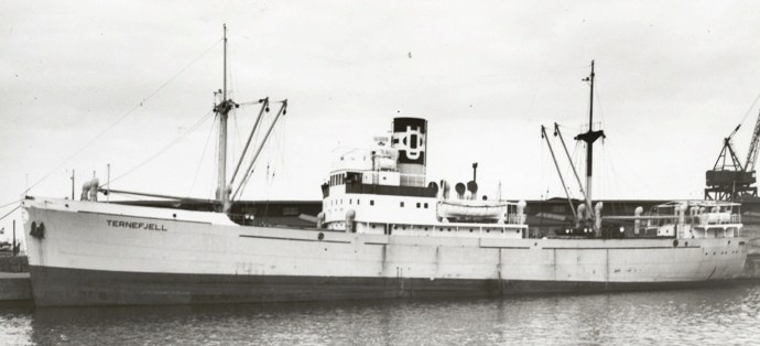 OSL33719480420001 TERNEFJELL