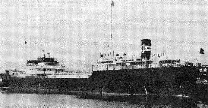 OSL33719500220001 STRIX