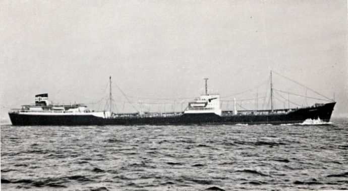 OSL33719510220001 RONDEFJELL