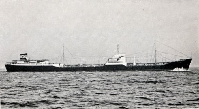 OSL33719510220001 RONDEFJELL
