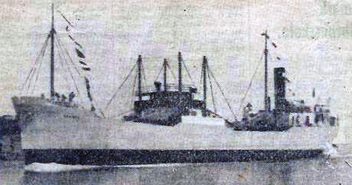 OSL33919340120001 HAVMOY