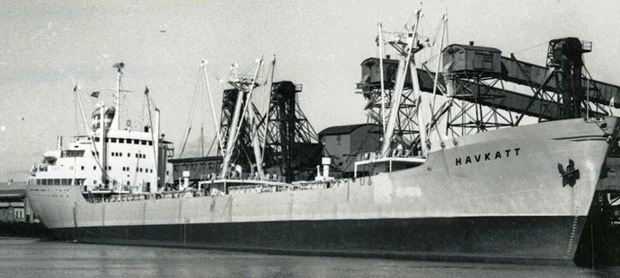 OSL33919590220001 HAVKATT