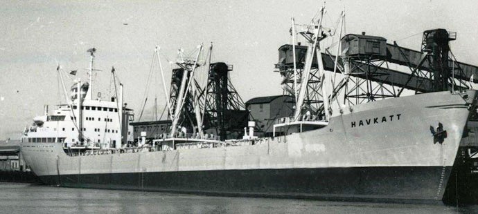 OSL33919590220001 HAVKATT