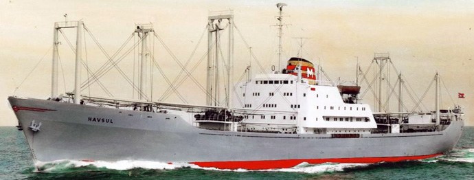 OSL33919590320001 HAVSUL