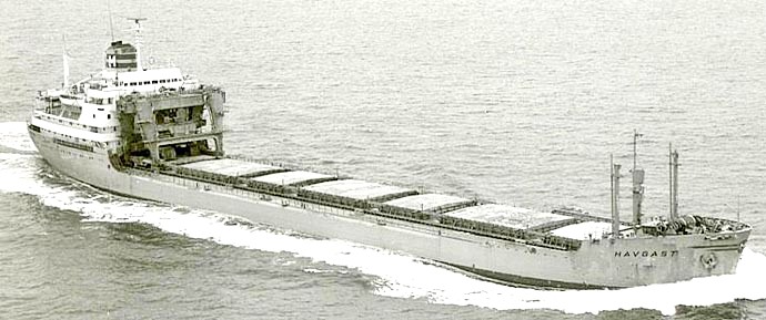 OSL33919630220001 HAVGAST