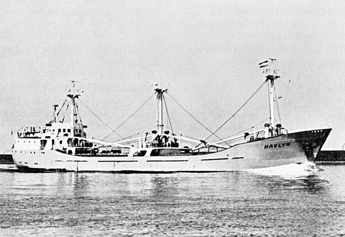 OSL33919640120001 HAVLYN