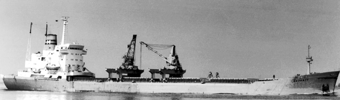 OSL33919720120001 HAVKATT