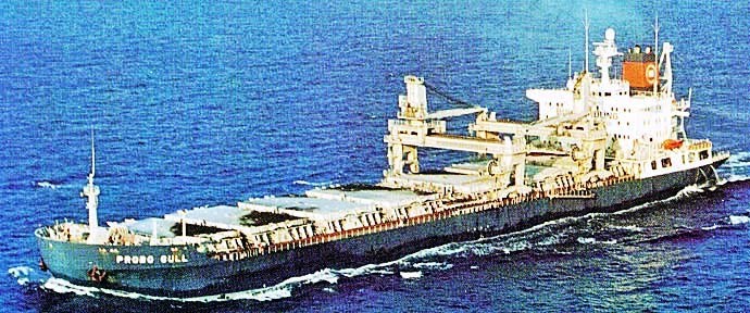 OSL33919890120001 PROBO GULL