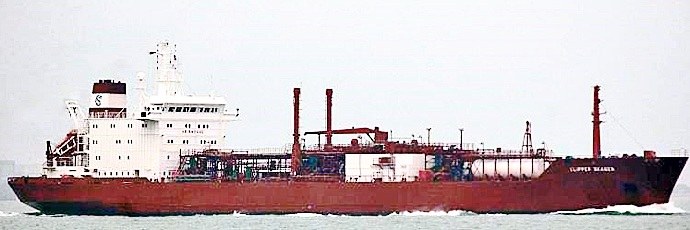 OSL33919940220001 HAVKATT
