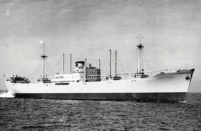 OSL34219490120001 BLACK FALCON