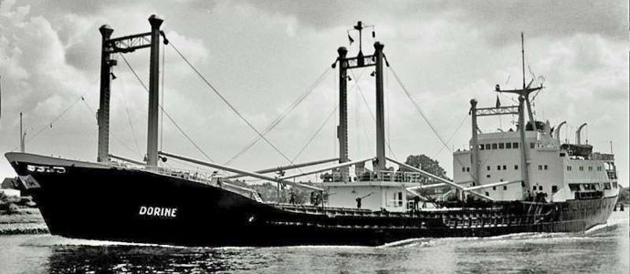 OSL35319630120001 TRYVANN
