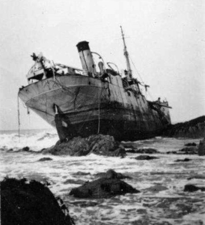 OSL35619360120001 SJOFNA