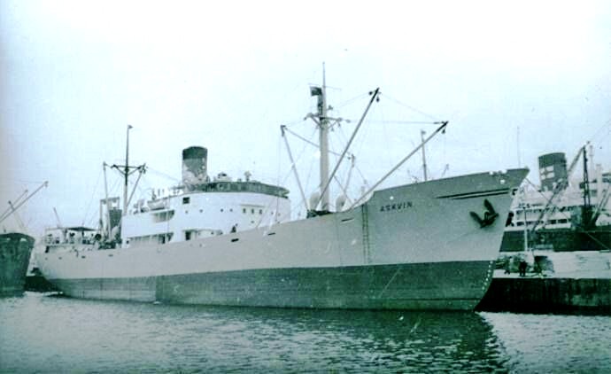 OSL36819500220001 ASKVIN
