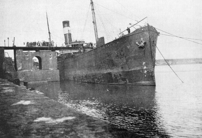 OSL36919110220001 STARKAD
