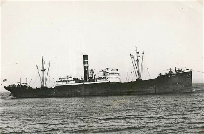 OSL37019290120001 TORAN