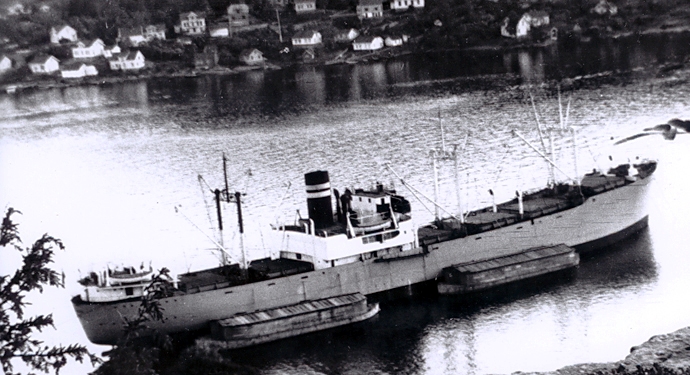 OSL37219470220001 RINGERD