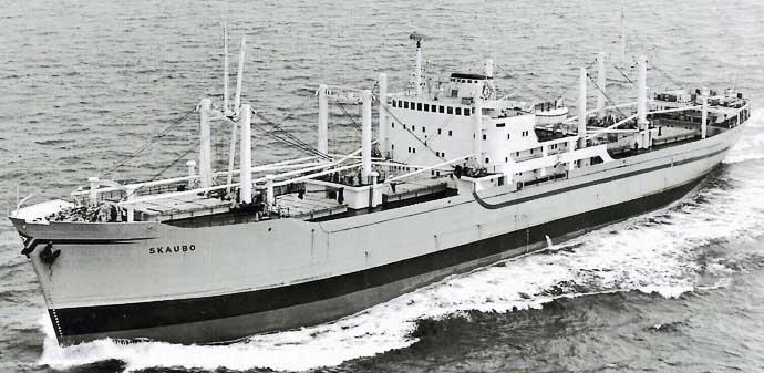 OSL40919560120001 SKAUBO