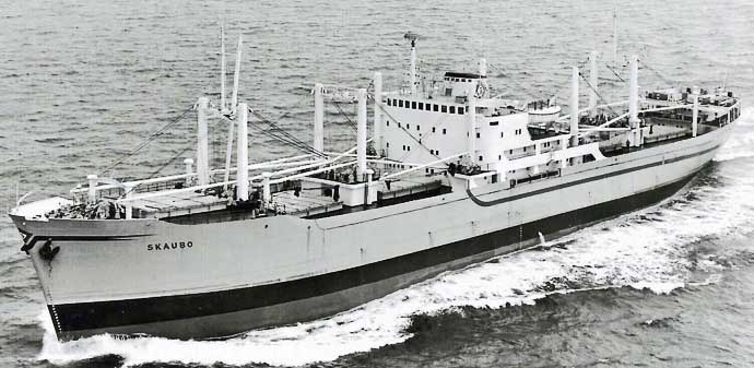 OSL40919560120001 SKAUBO