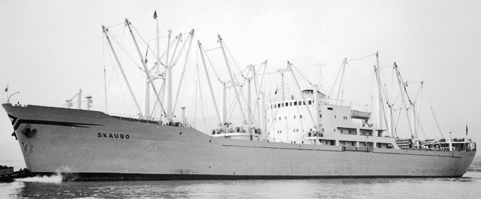 OSL40919560120002 SKAUBO