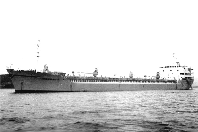 OSL40919610320002 SKAUVANN