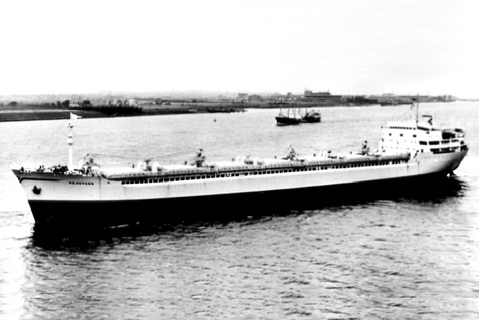 OSL40919610320003 SKAUVANN