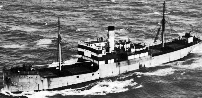 OSL41619230120001 STOROY