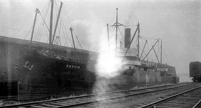 OSL43519330120001 GUDVIN