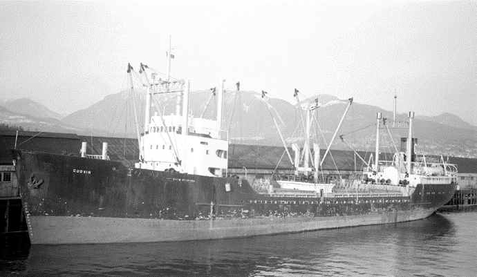 OSL43519600220002 GUDVIN