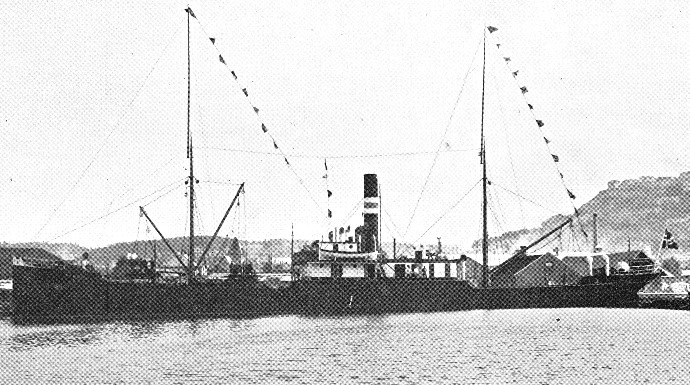 OSL47219110120001 SKULE