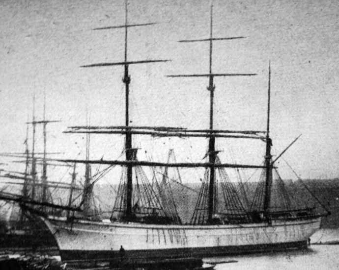 OSL49918940120001 CATO