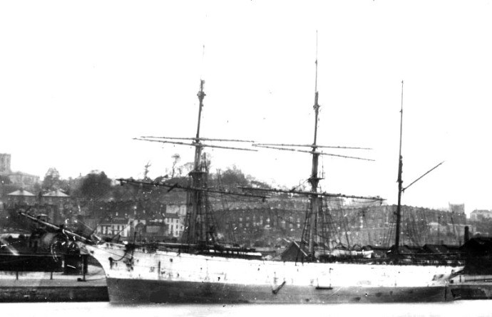 OSL51419150220001 ACORN