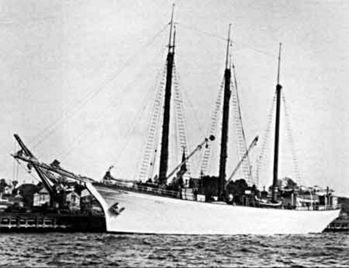 PGR23519240120001 Ulva