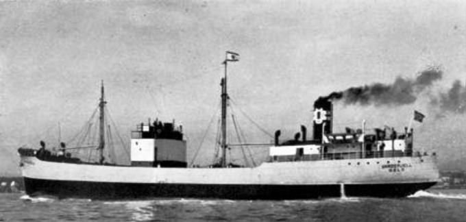 PGR24019310120001 DIXIE 
