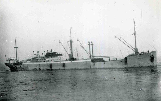 PGR24219260120002 BRYNJE