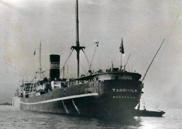 PGR25019530120001 TANGHOLM