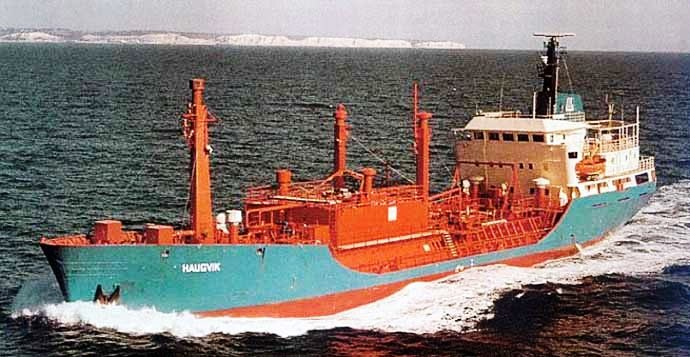 PGR25219850120001 HAUGVIK