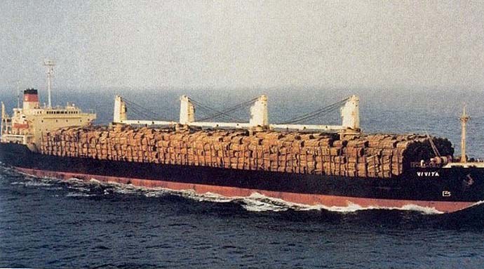 PGR25219980120001 VIVITA