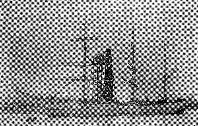 PGR25718940120001 ANITRA
